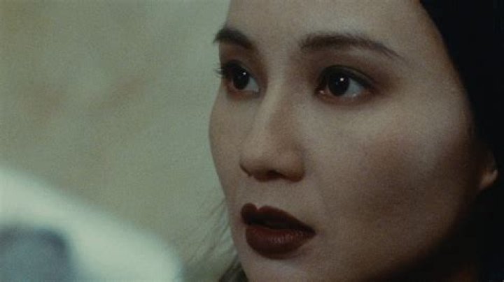 
Where Is Irma Vep Actress Maggie Cheung Now? Her History With Tony Leung And Current Dating Status 